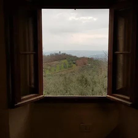 Tuscan Homestead Surrounded By Olive Trees Daire *