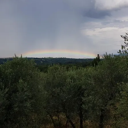 Tuscan Homestead Surrounded By Olive Trees